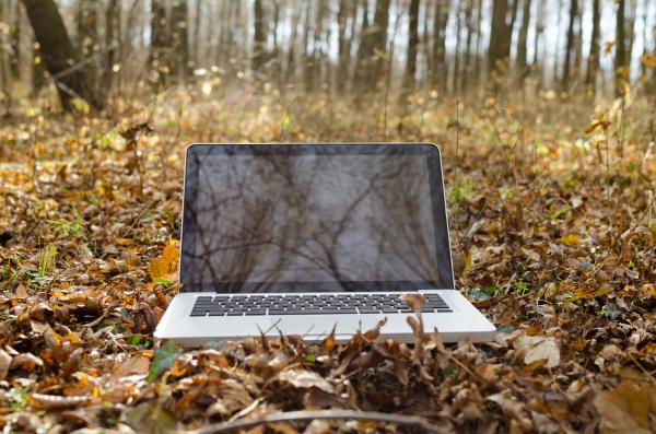 Working on Notebook in Forest