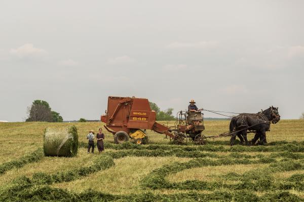 Working on the field