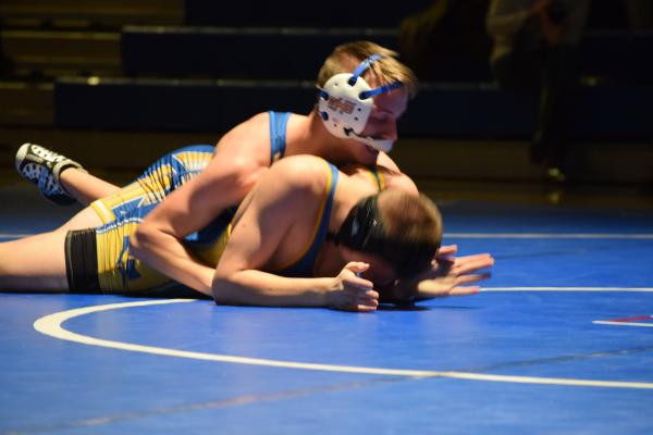 Wrestling match