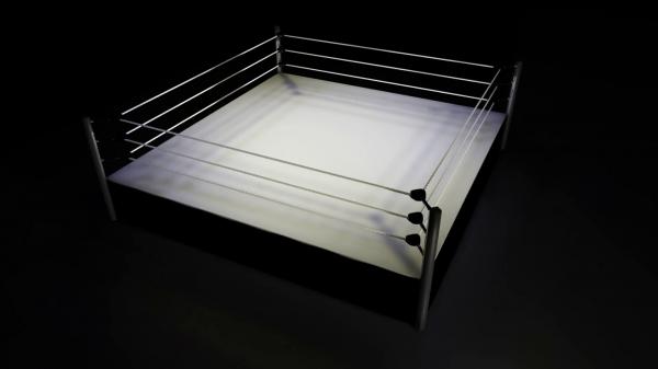 Wrestling Ring