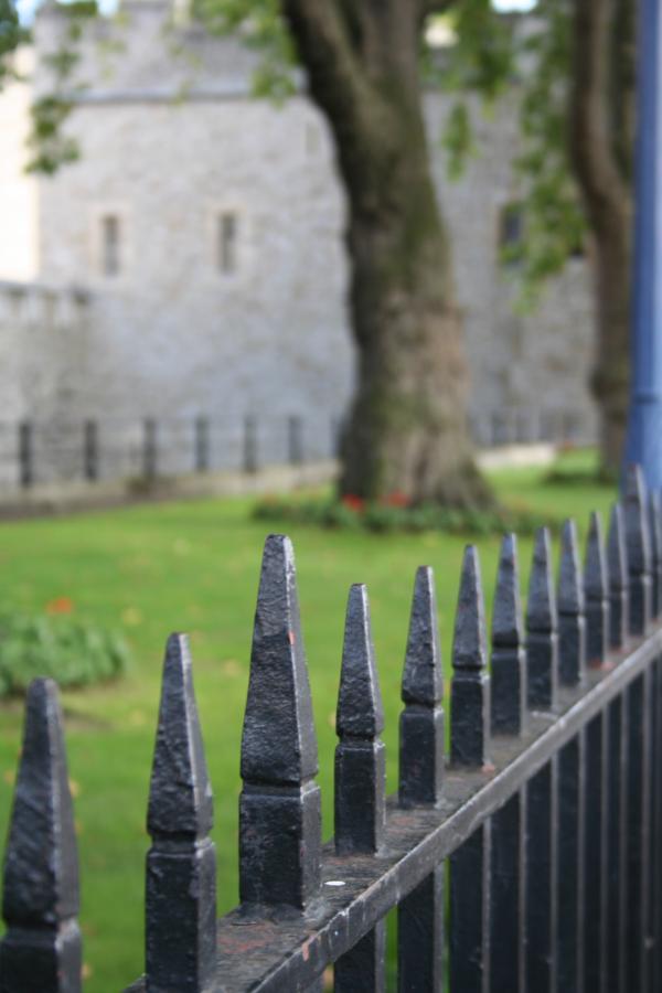 Wrought iron fence