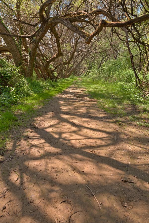 Wye Island Ferry Point Trail - HDR