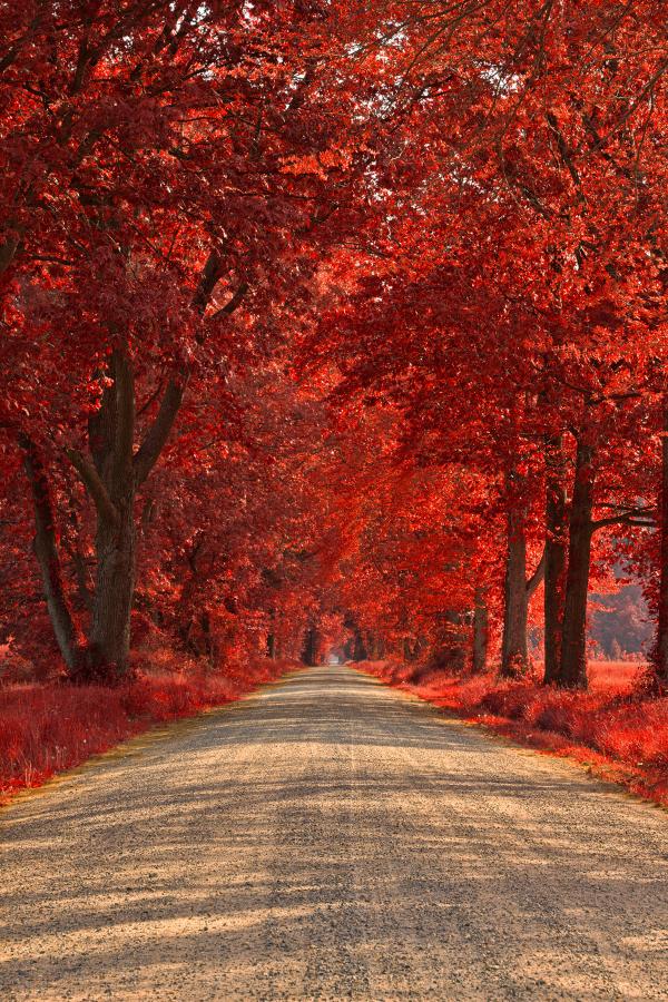 Wye Island Ruby Road - HDR
