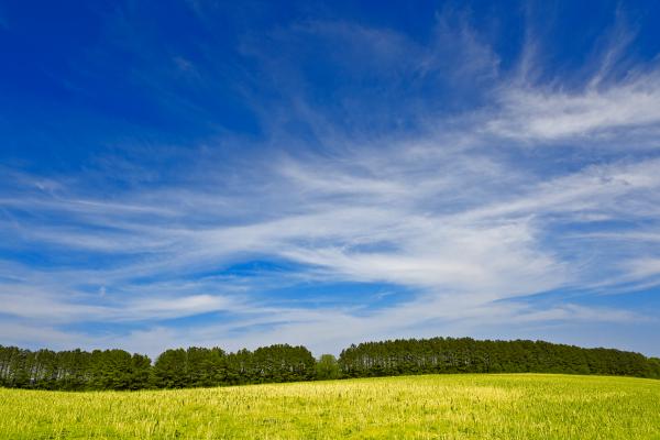 Wye Island Sky Field - Eco Harmony HDR
