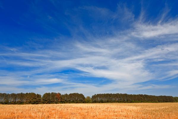 Wye Island Sky Field - HDR