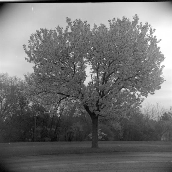 Yashica 24 2 7