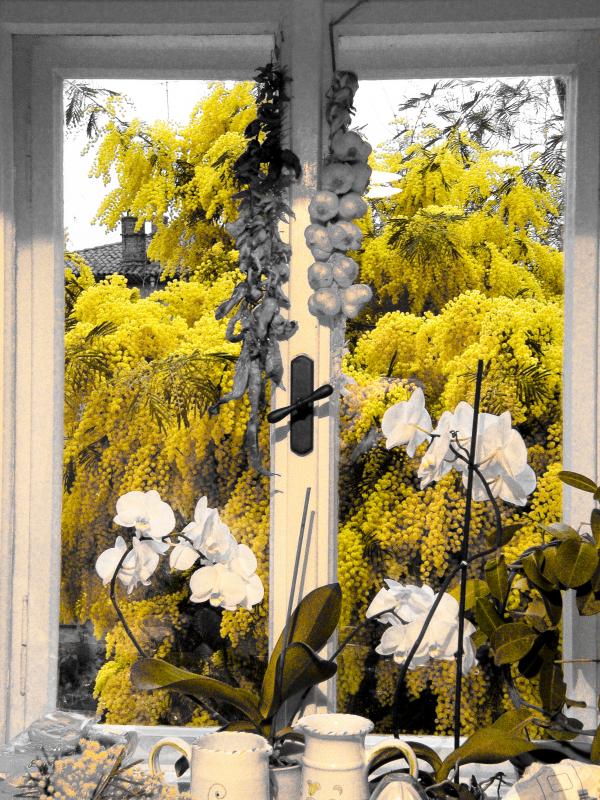 Yellow
