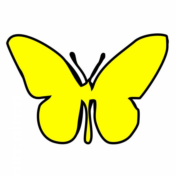 Yellow butterfly