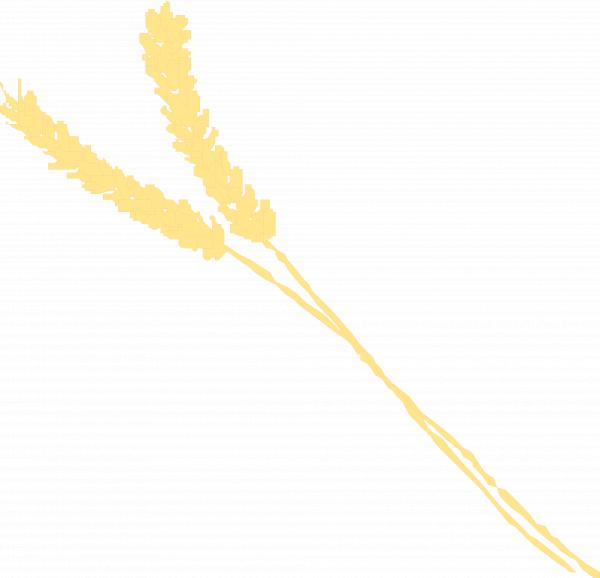 Yellow Commodity