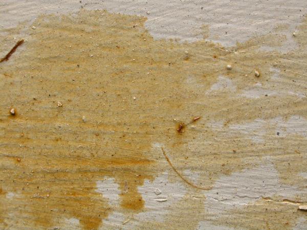 Yellow concrete texture