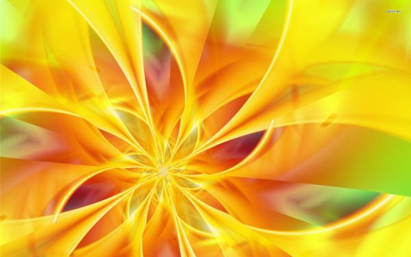Yellow flower