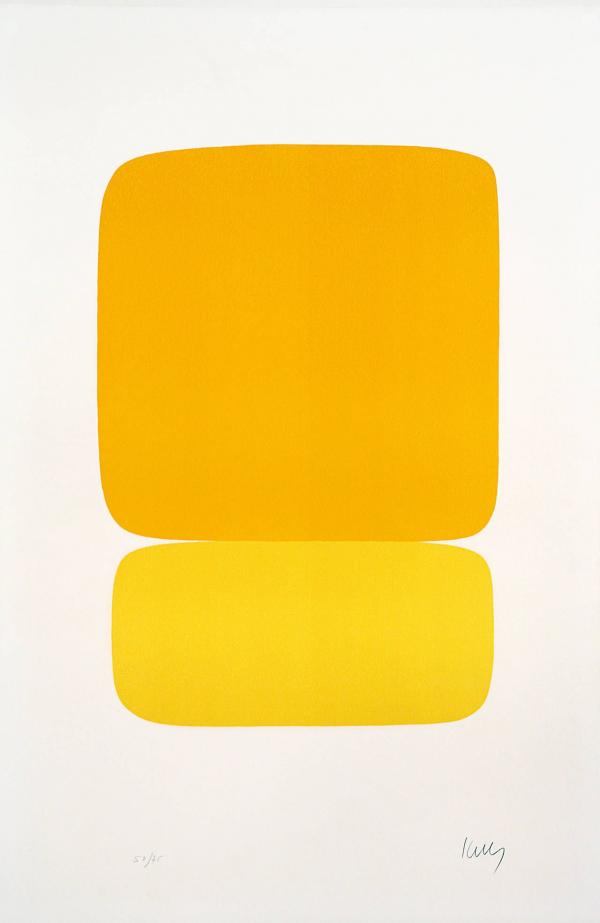 Yellow over yellow