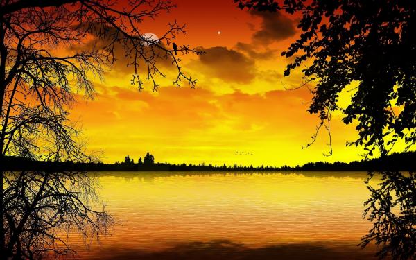 Yellow Paradise