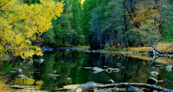 Yosemite National Park
