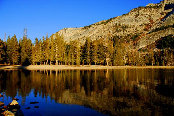 Yosemite National Park