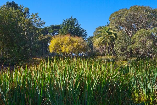 Zoo Marsh Scenery - HDR