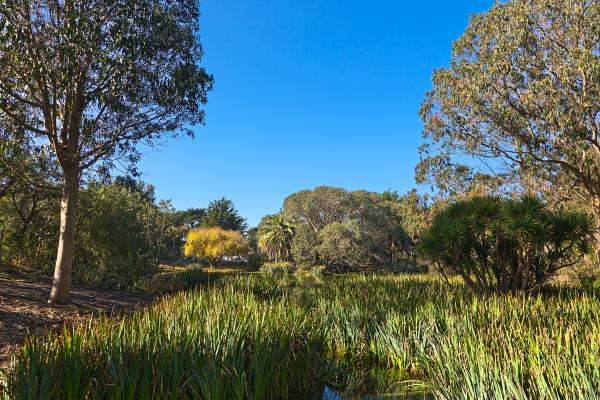 Zoo Marsh Scenery - HDR