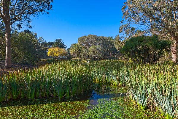 Zoo Marsh Scenery - HDR