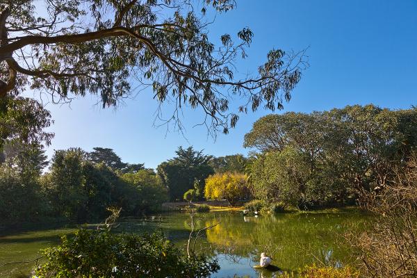 Zoo Zen - HDR