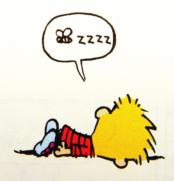 zzzz...